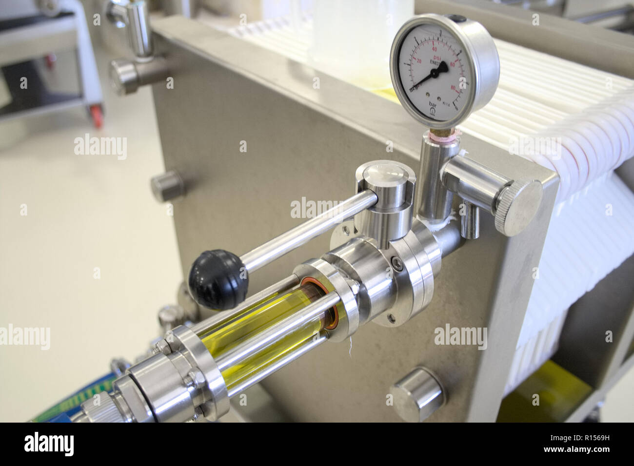 Ecological extra virgin olive oil production with modern technology