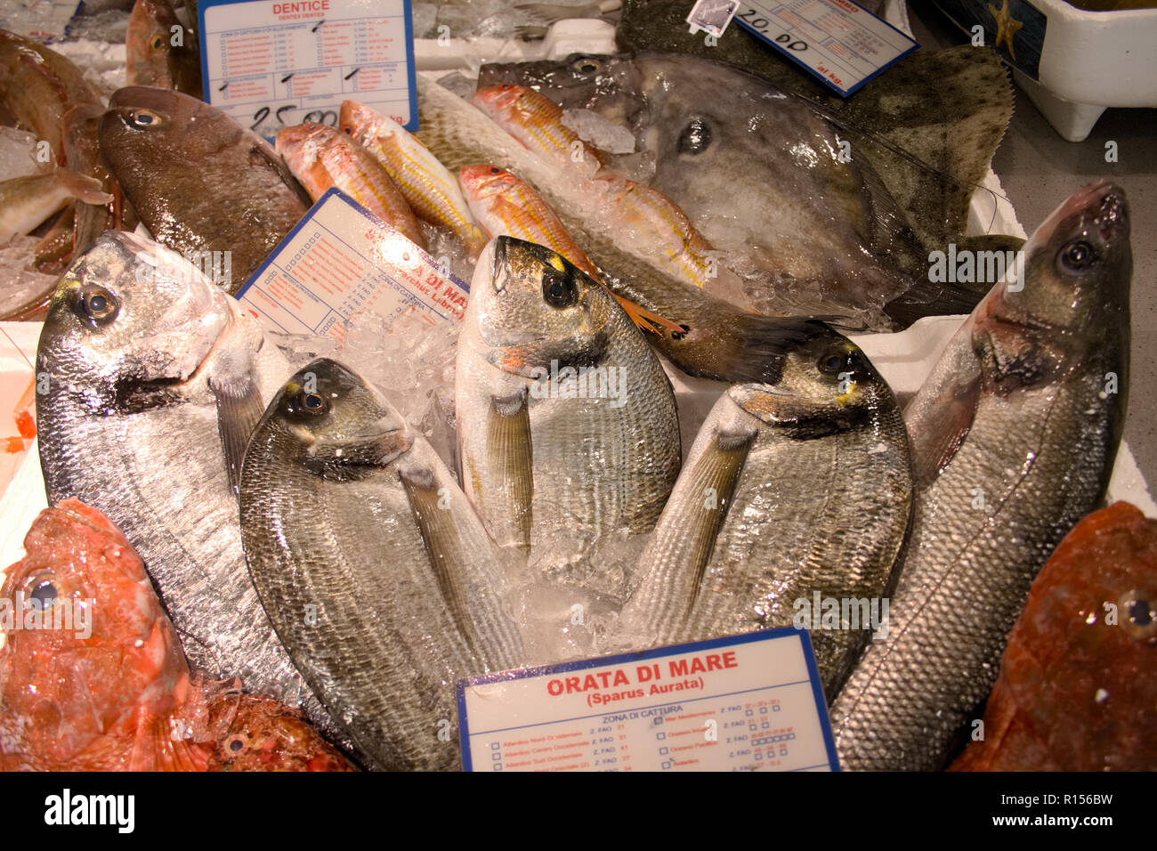 Fish market with fresh various fishes, bream, dentex, sole, bass