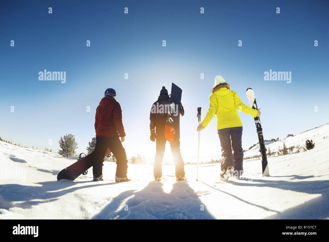 Three friends skiers and snowboarders stands with ski equipment. Ski resort concept Stock Photo