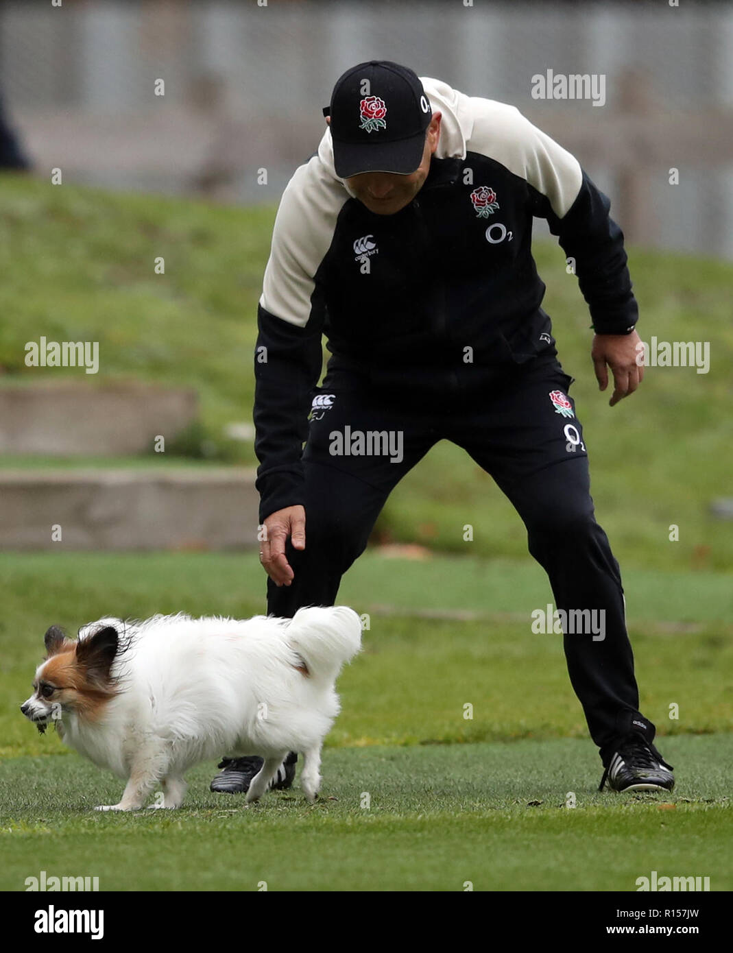England head coach Eddie Jones with his dog Annie during the training
