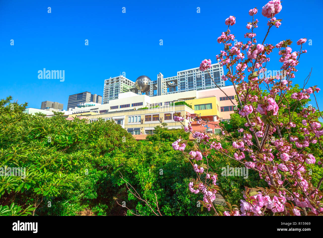 Tokyo, Japan - April 19, 2017: Fuji Television Headquarters in Odaiba, Minato district with branch of cherry blossom in the foreground. Spring landscape. Icon and landmarks of Odaiba island. Stock Photo