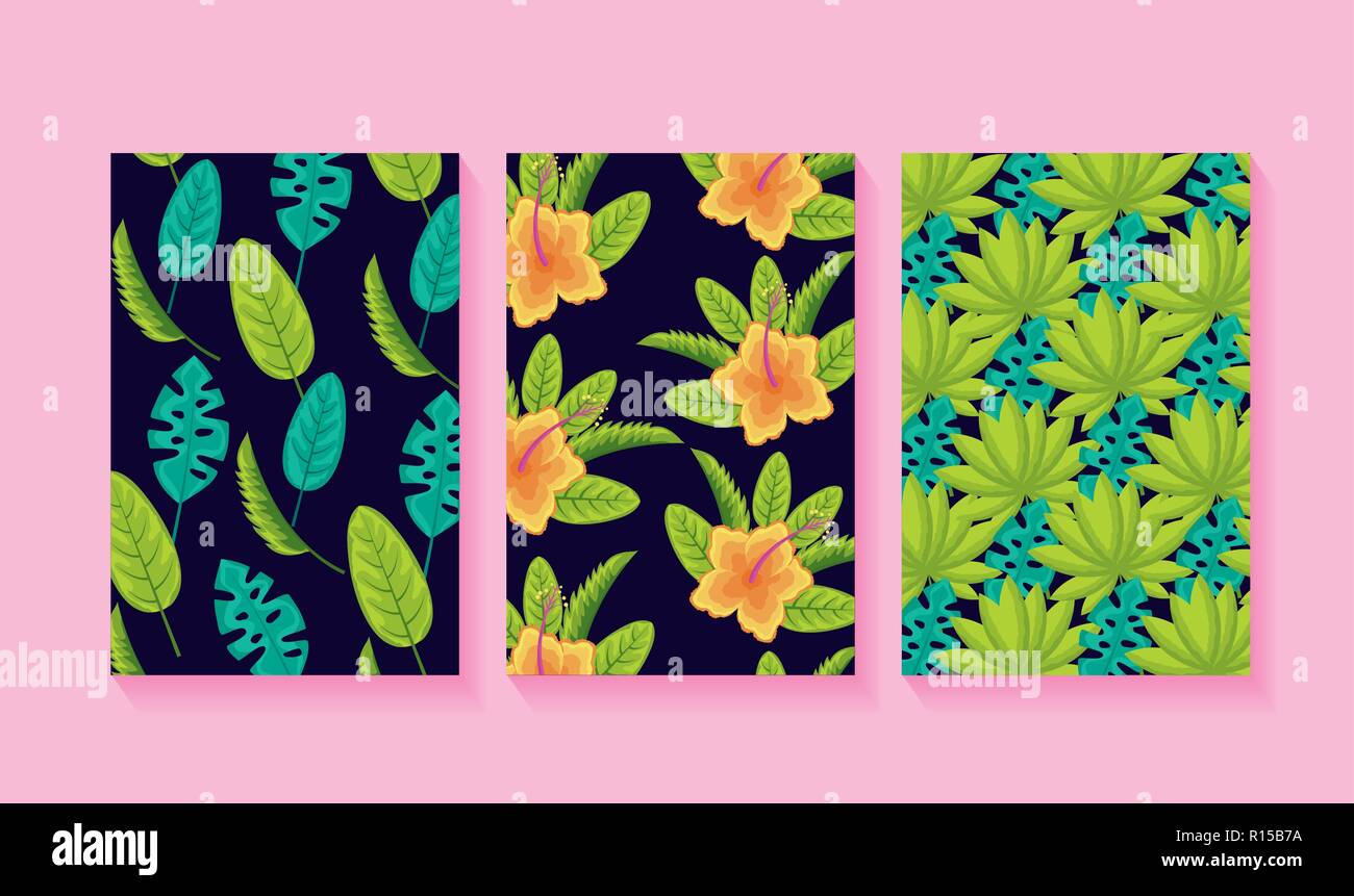 tropical natural banners leaves hibiscus flowers vector illustration