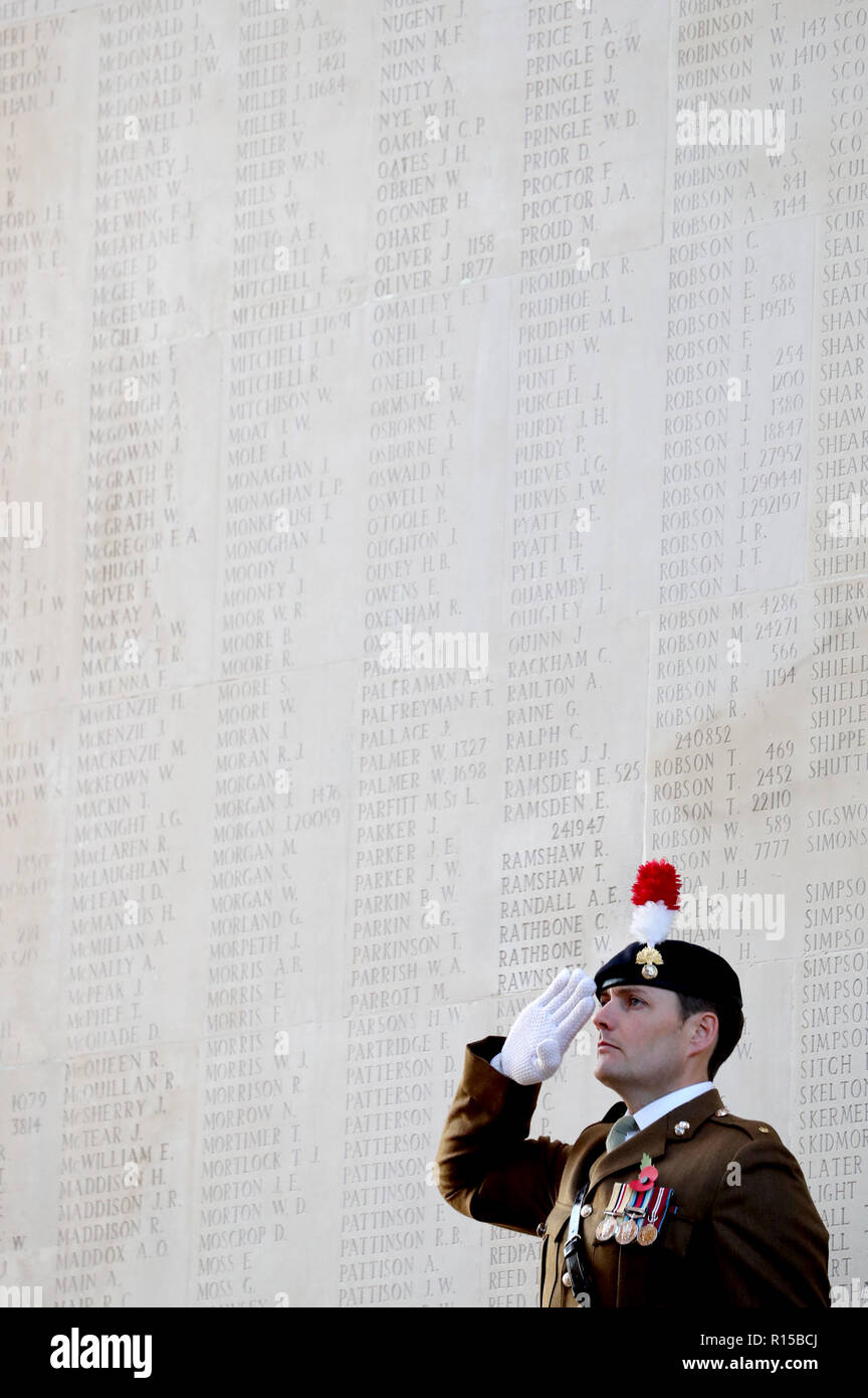 A soldier salutes during a wreath laying ceremony at the Thiepval Memorial in Authuille, France. Stock Photo