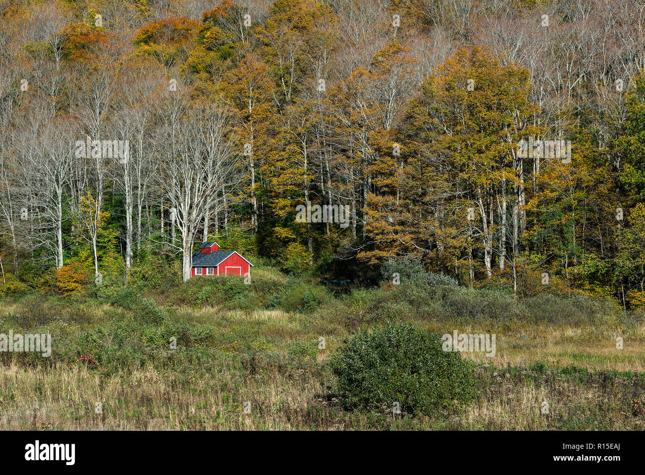 Cgarming remote cottage, Vermont, USA. Stock Photo