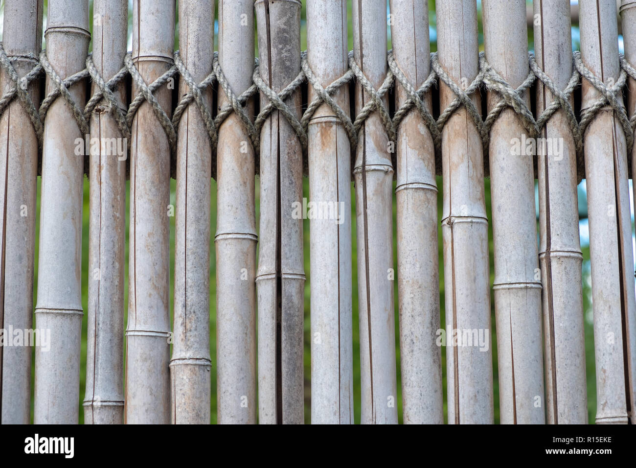 Bamboo wall, Bamboo fence background Stock Photo