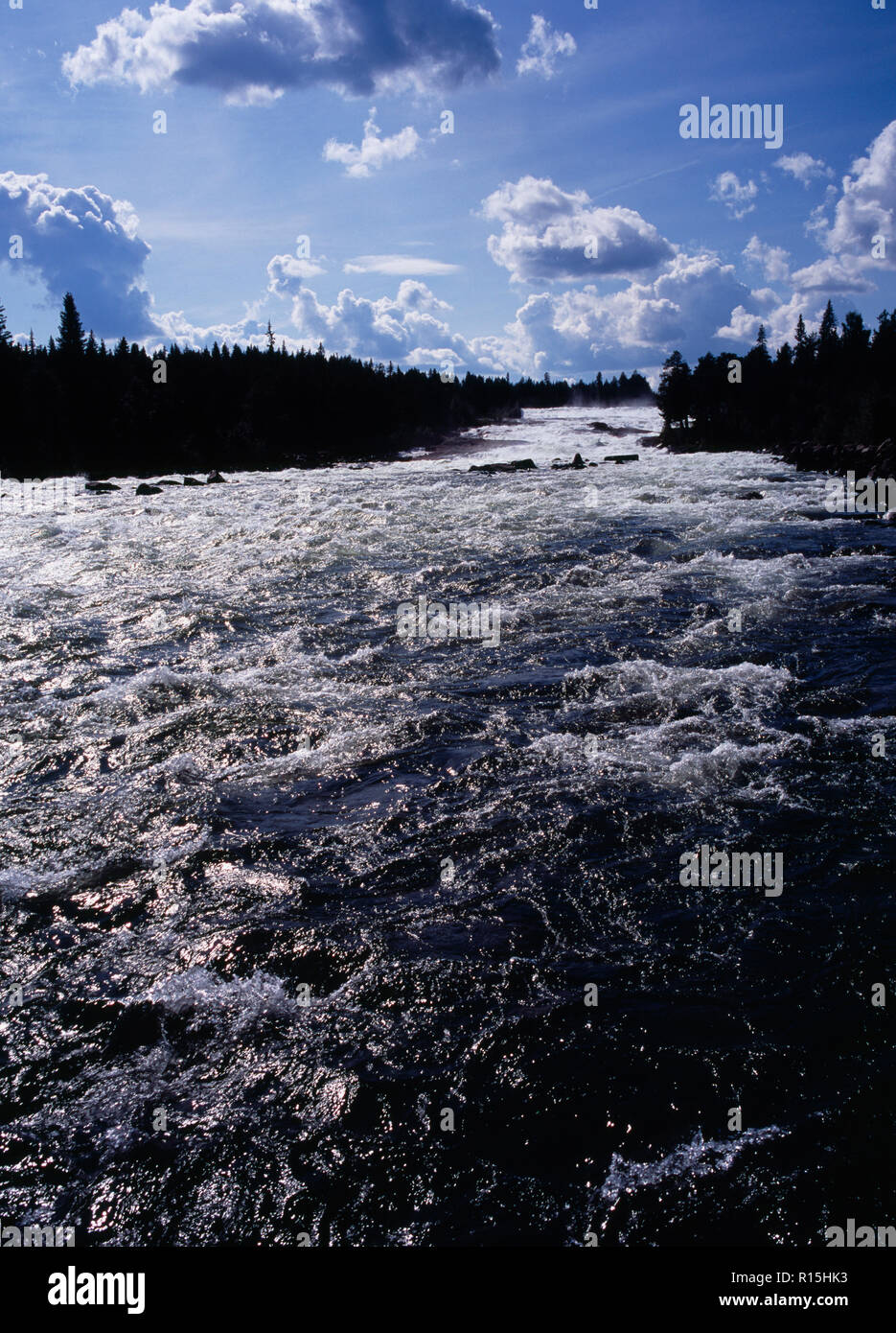 Sweden, Norrbotten, Pitealven River, View up Storforsen Rapids twenty-five miles north west of Alusbyn town. Expanse of fast flowing sparkling water and silhouetted tree line. A fall of 80 metres at a rate of 800 000 litres per second over 4 kilometres. Stock Photo