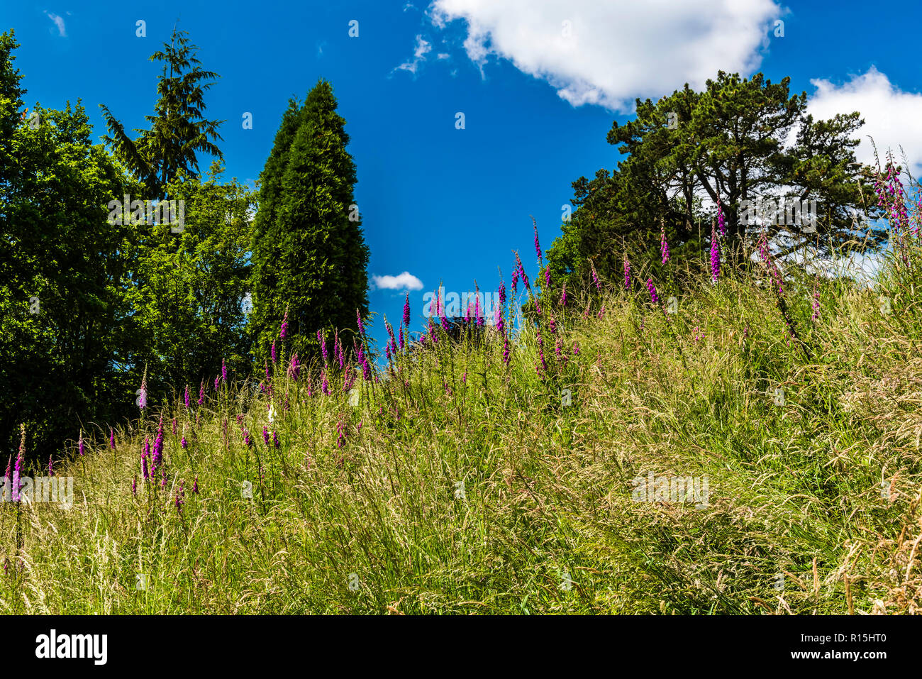 Standen house hires stock photography and images Alamy