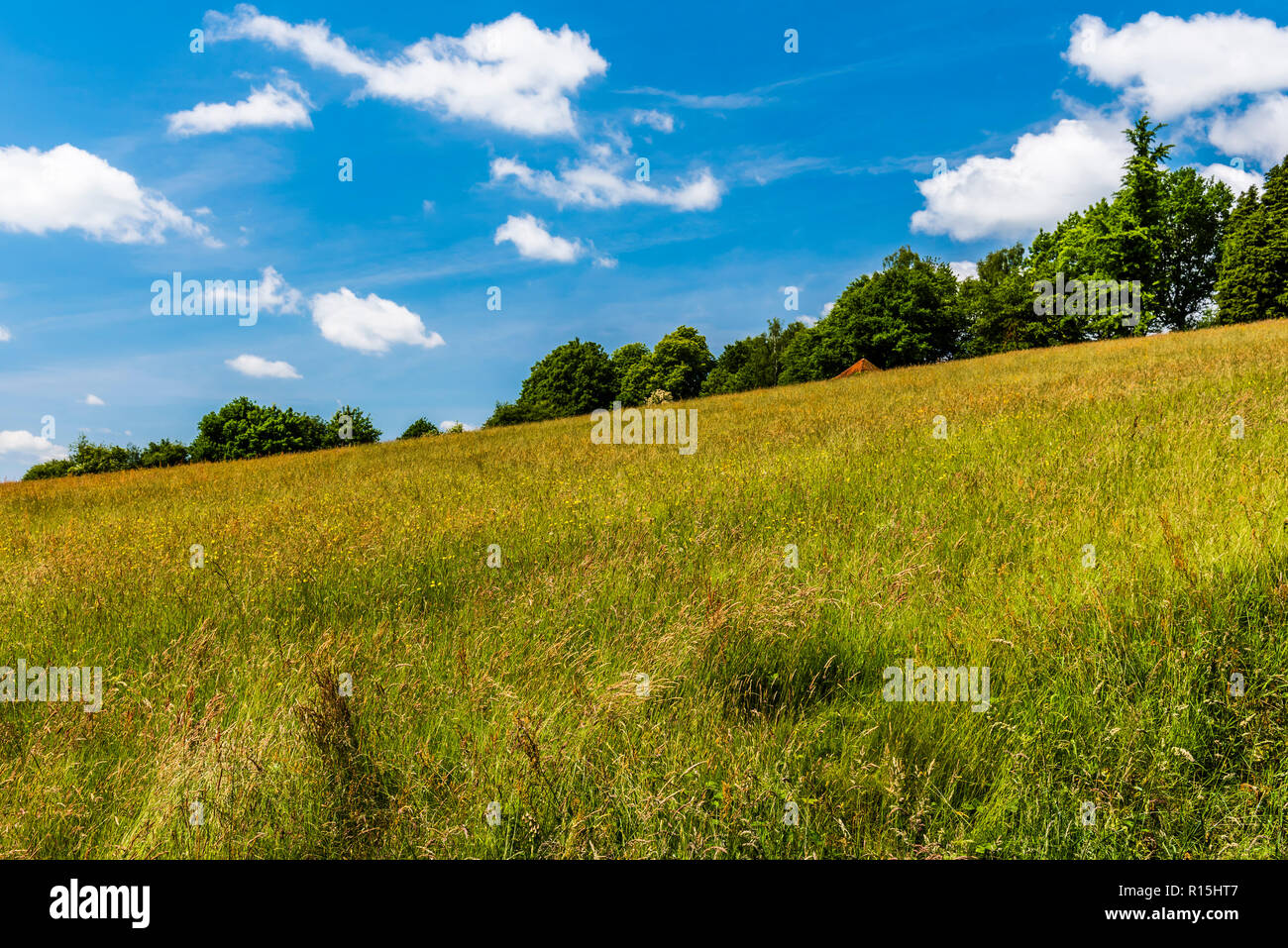Standen house hires stock photography and images Alamy