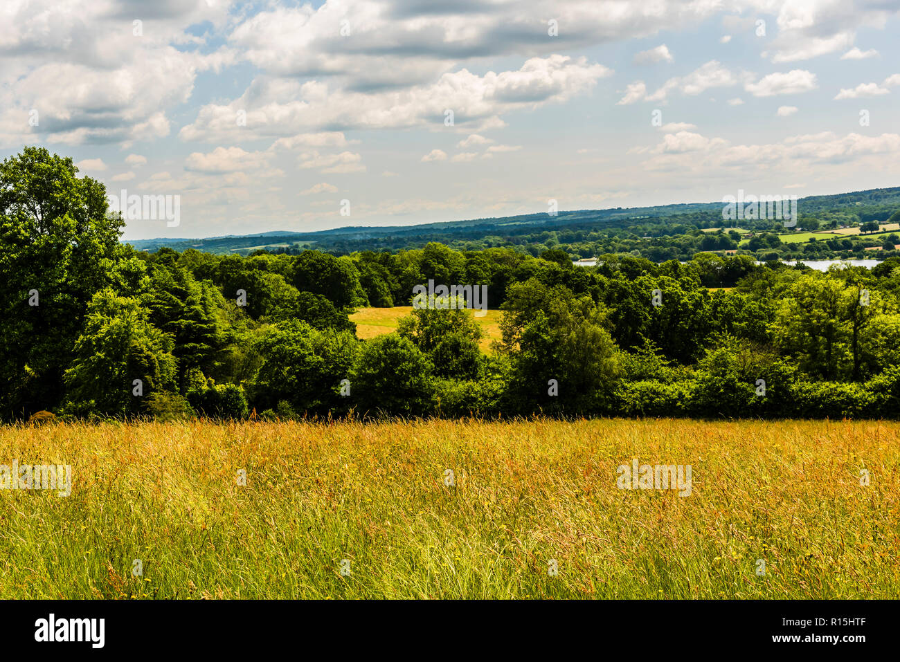 View on a summer day from Standen House, Sussex, UK Stock Photo