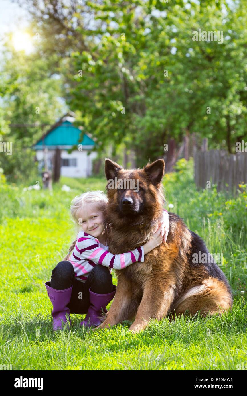 little girl with big dog shepherd Stock Photo Alamy