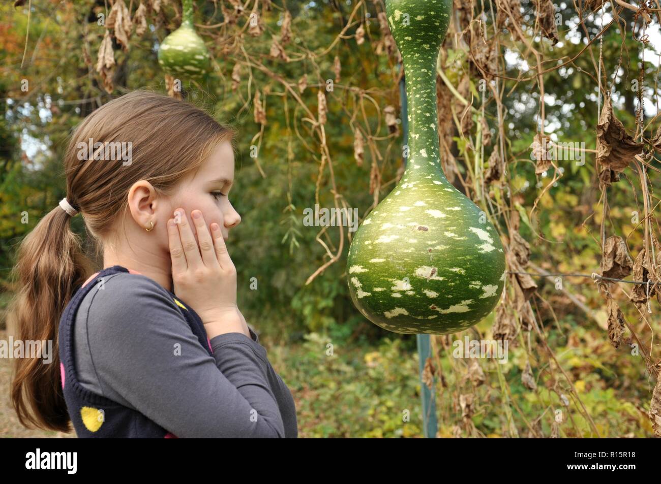 Caucasian 8 years old child, girl, happy in the park, looking at a big bottle gourd and marveling Stock Photo