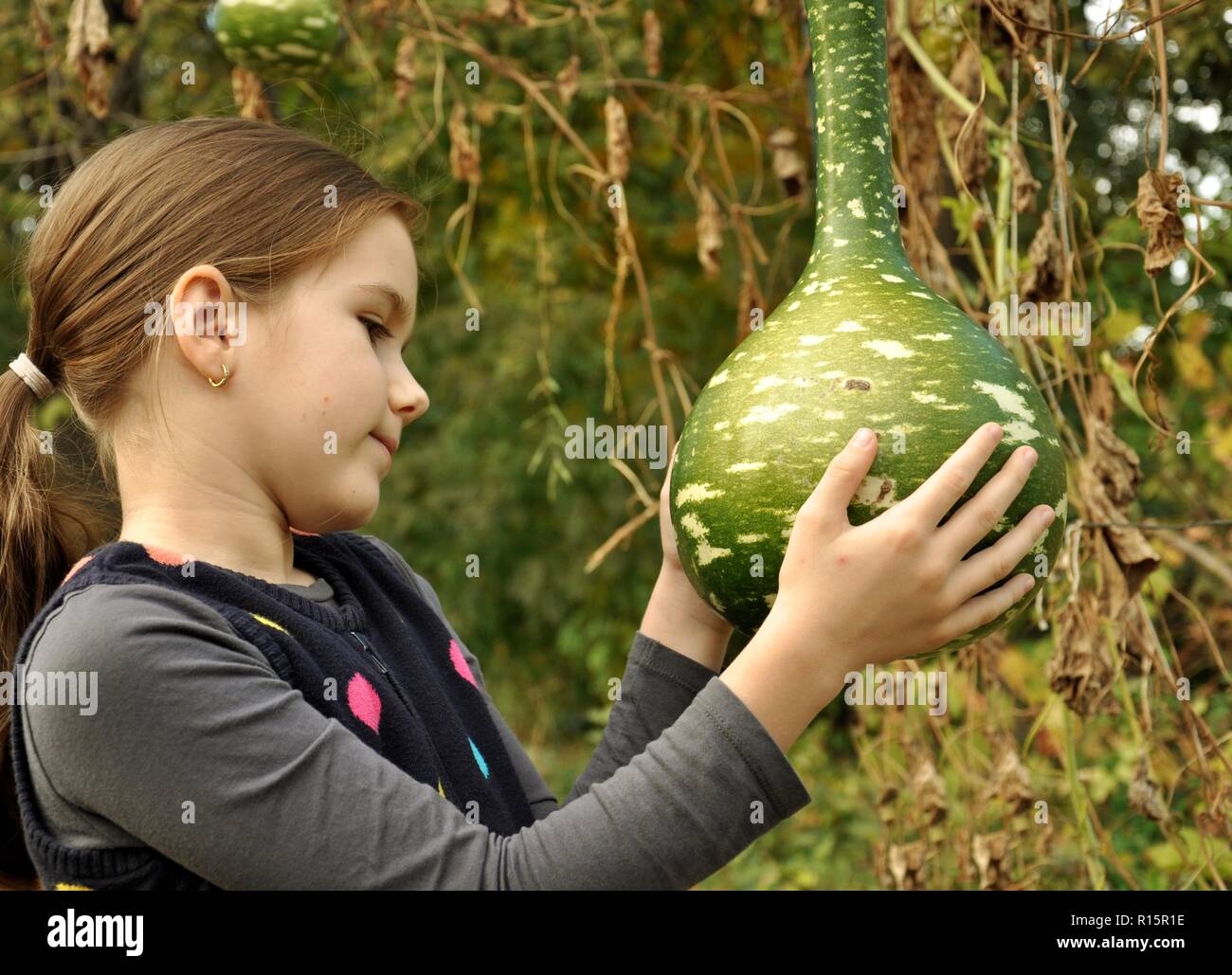 Caucasian 8 years old child, girl, happy in the park, looking at a big bottle gourd Stock Photo
