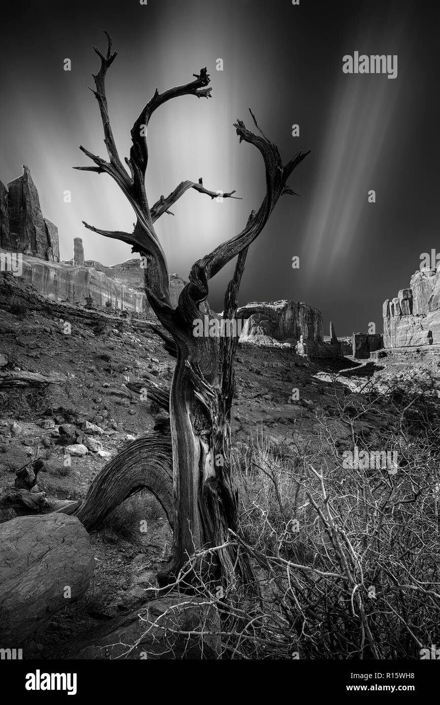 Long exposure Black and White Stock Photos & Images - Alamy