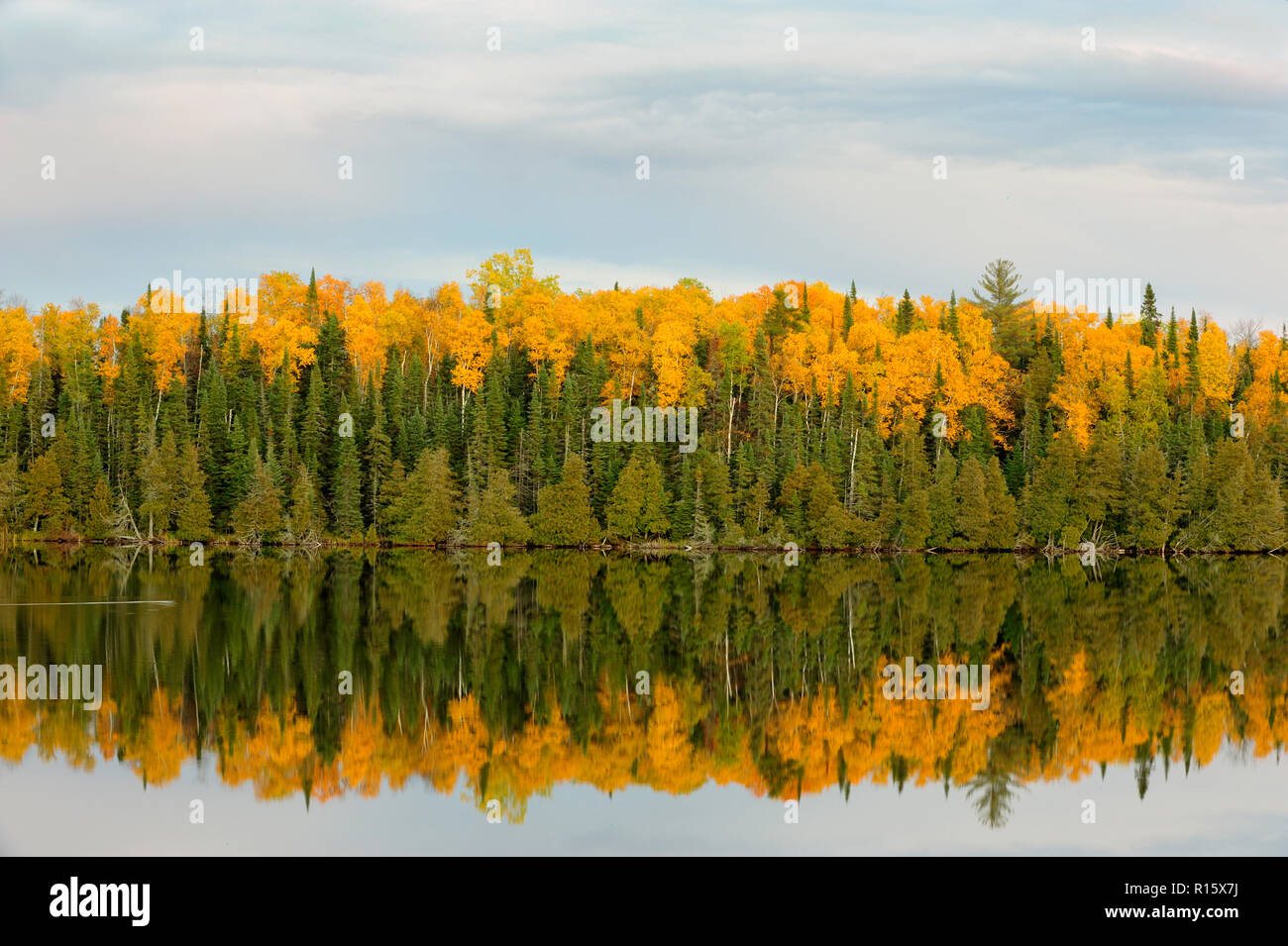 Sunset skies over small Canadian Shield Lake, with autumn aspens, Thunder Bay, Ontario, Canada Stock Photo