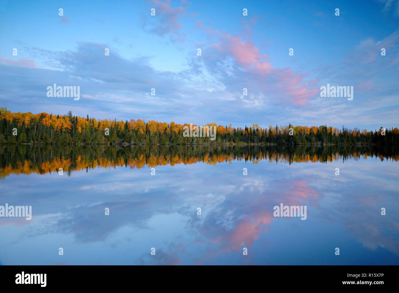 Sunset skies over small Canadian Shield Lake, with autumn aspens, Thunder Bay, Ontario, Canada Stock Photo
