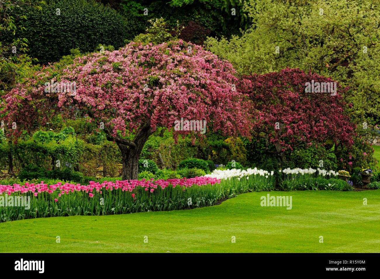 Butchart Gardens Flower beds and flowering trees, Victoria, BC, Canada