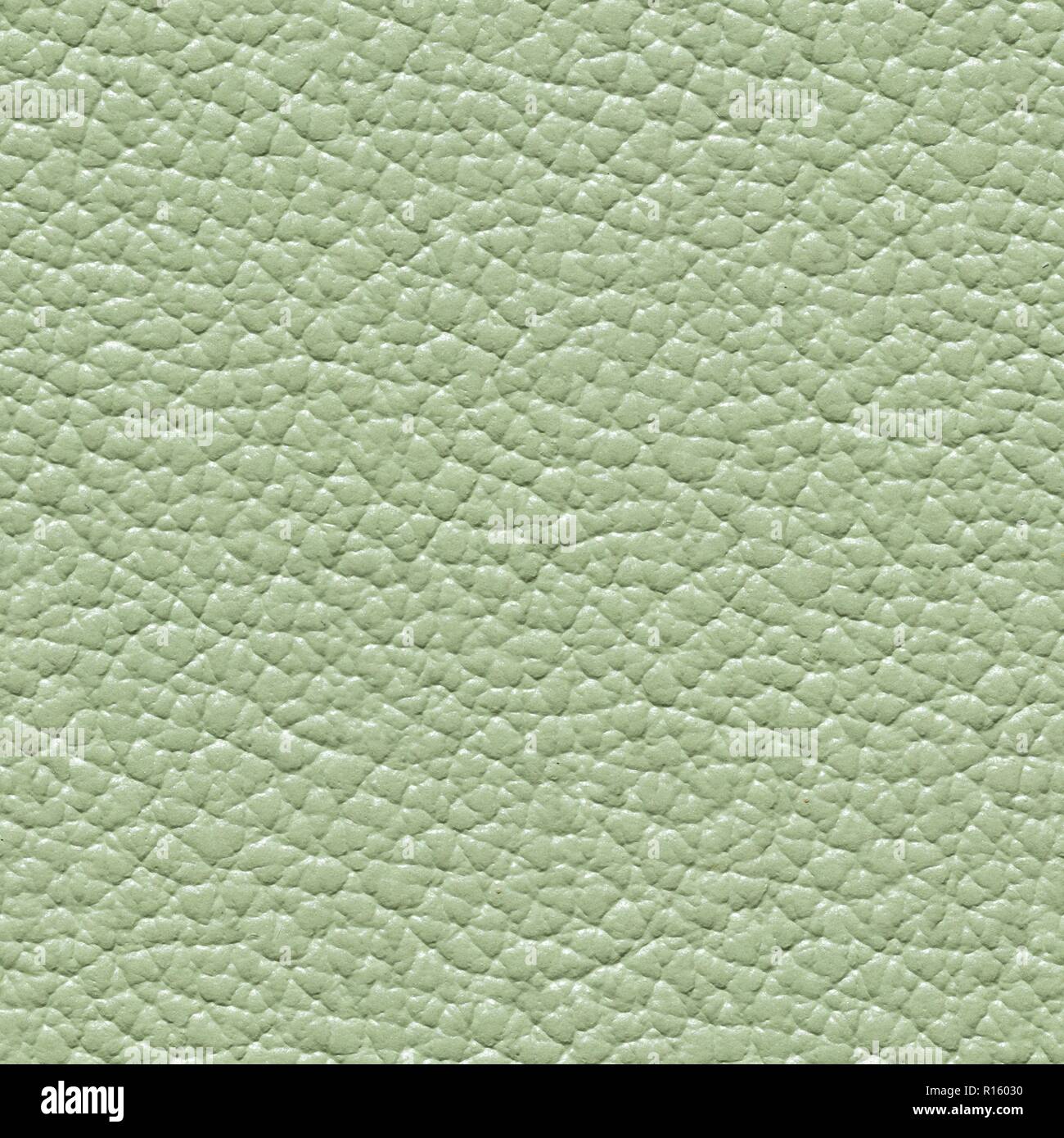 Fashion light green leather background. Seamless square texture. Stock Photo