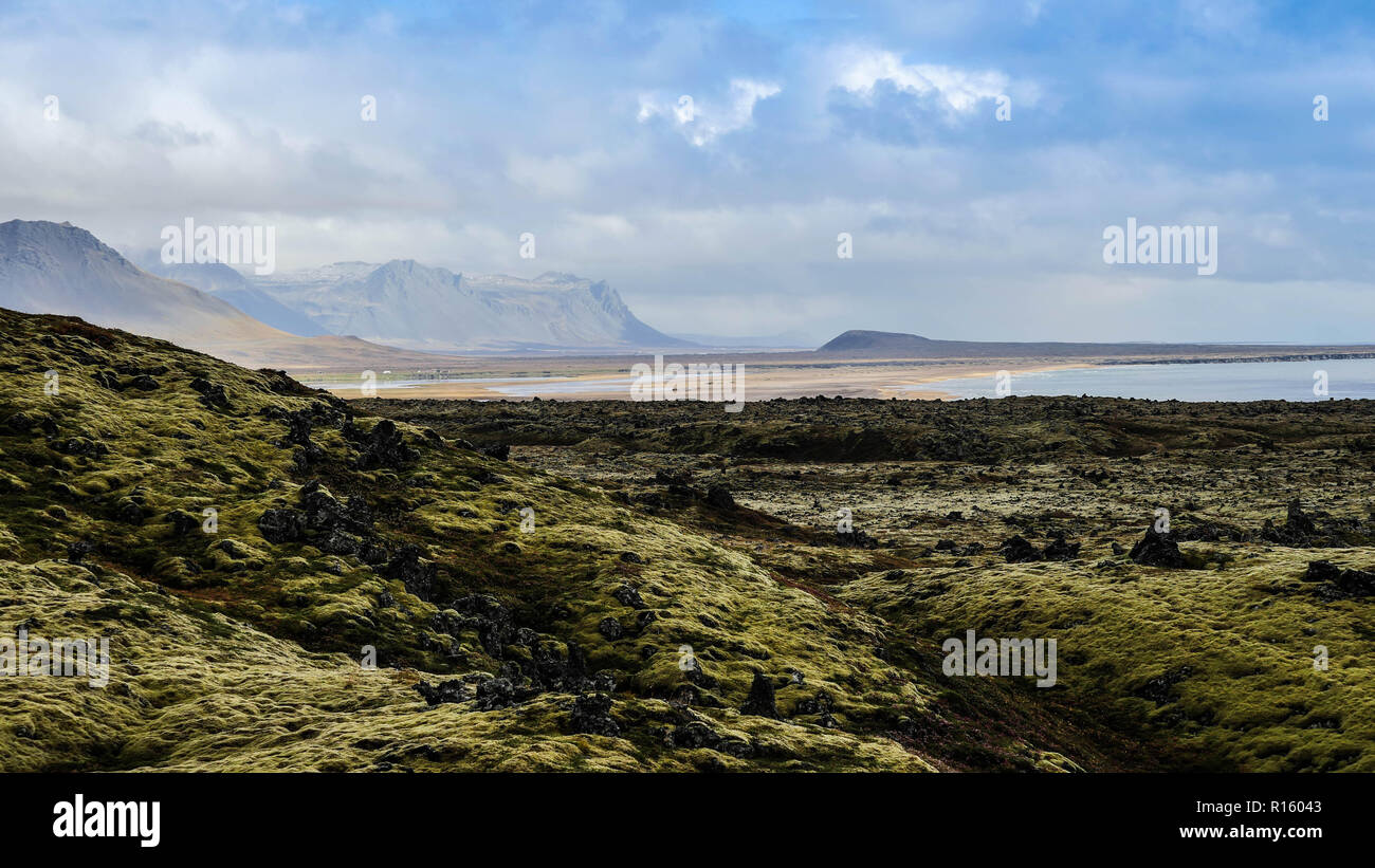 Lava Field Iceland Stock Photo