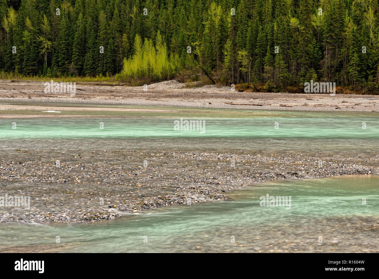 Gravel beds and river channels in the Kicking Horse River Valley, Yoho National Park, BC, Canada Stock Photo