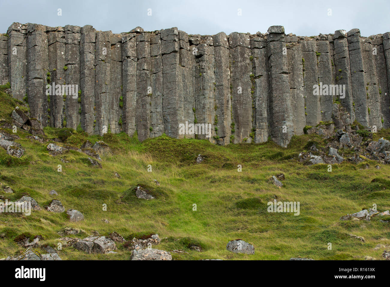 Wall of high basalt columns in Iceland. Volcanic Basalt Coloumn Formations. Stock Photo