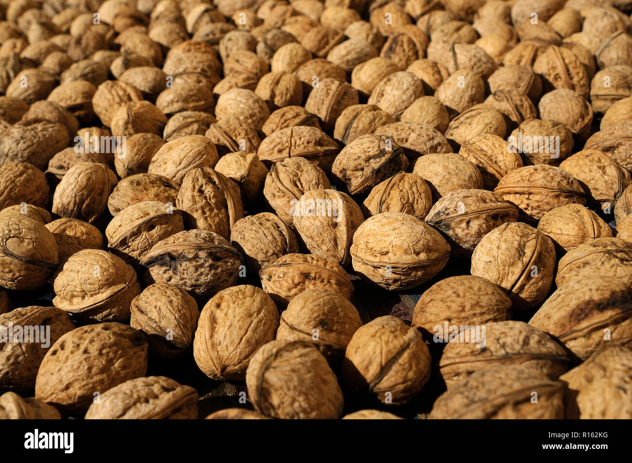 Group of nuts, nuts, vegetable oil Stock Photo Alamy