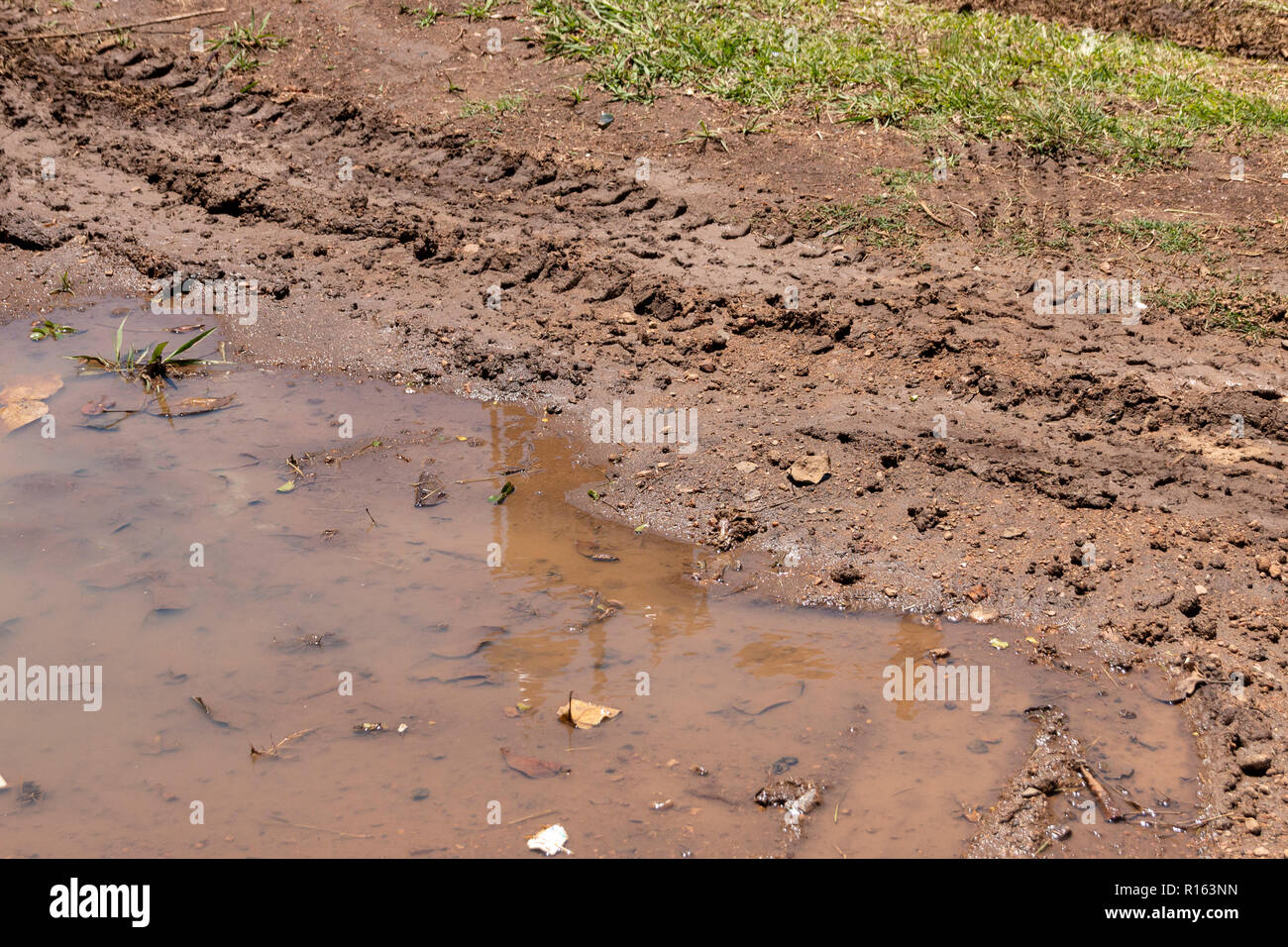 Wet Mud On The Ground With Grass In Nature Stock Photo, Picture and Royalty  Free Image. Image 80885384.