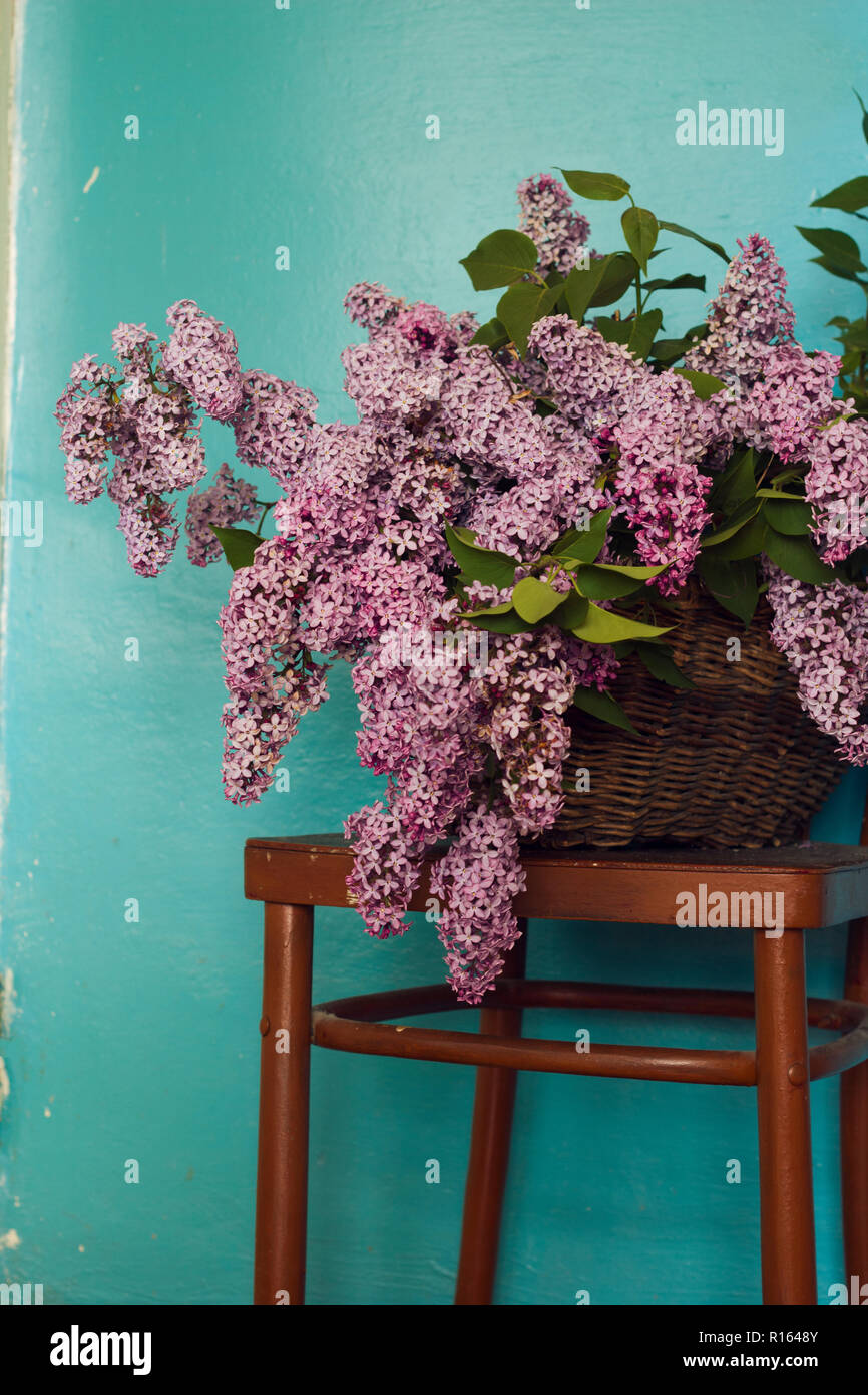 still life with lilac flowers bunch in a vintage brown basket on a chair,blue shabby wall background Stock Photo