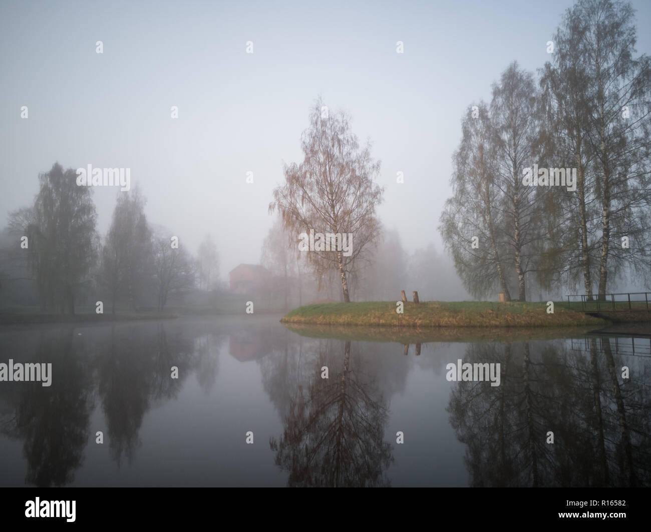 Tree Silhouettes in an Early Morning on an Island in the Lakewith a ...