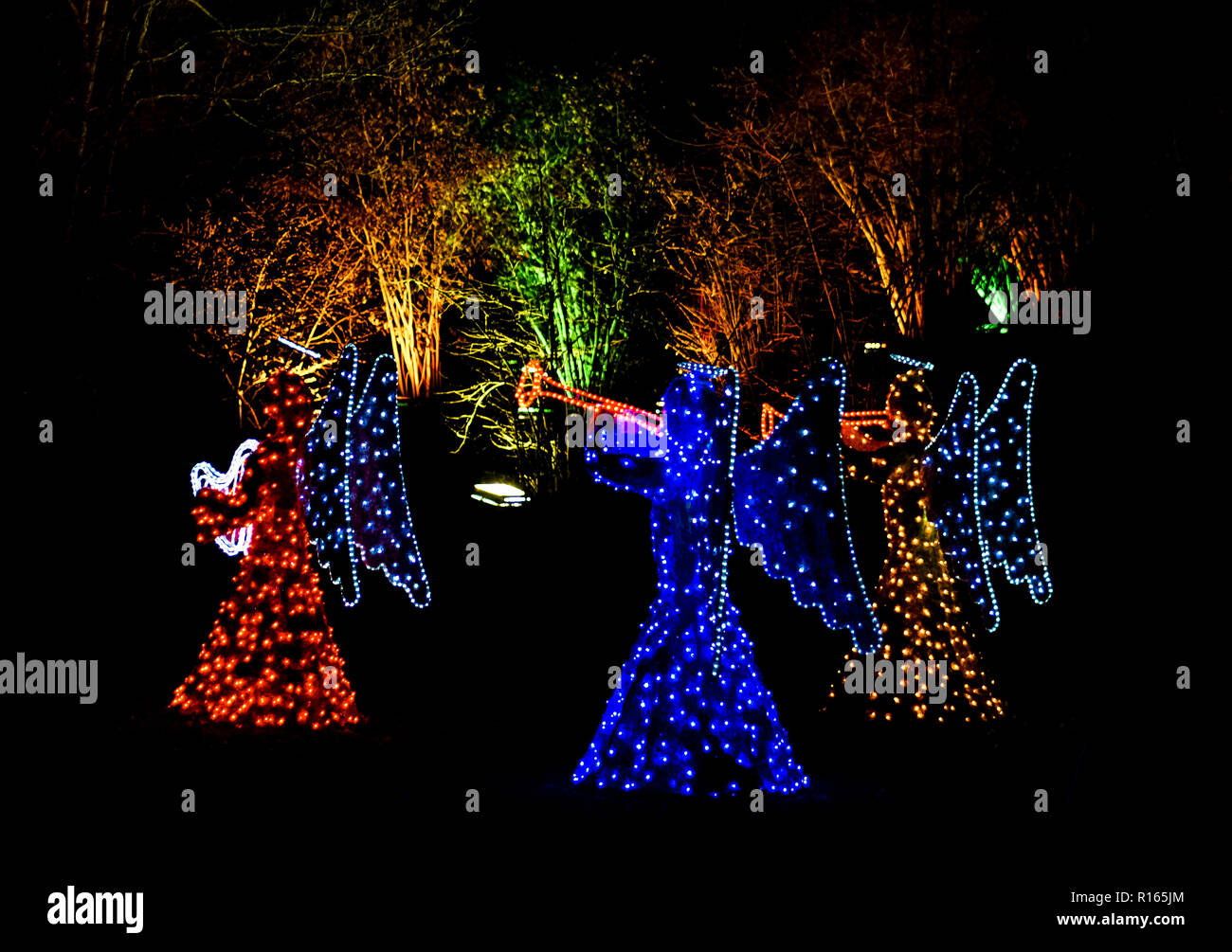 Coloured outdoor christmas lights angels and trees Stock Photo