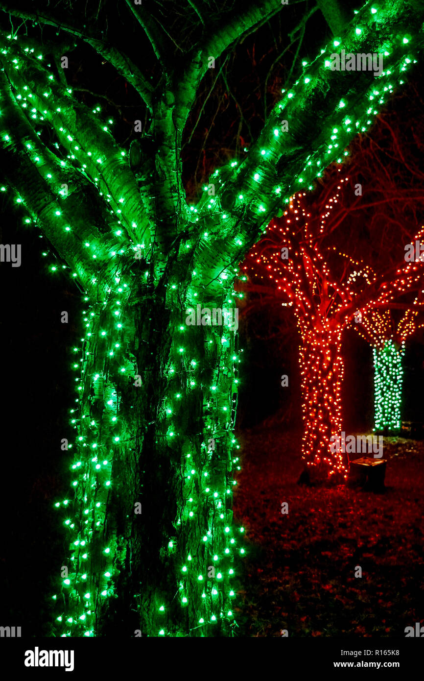 where to buy outdoor christmas lights