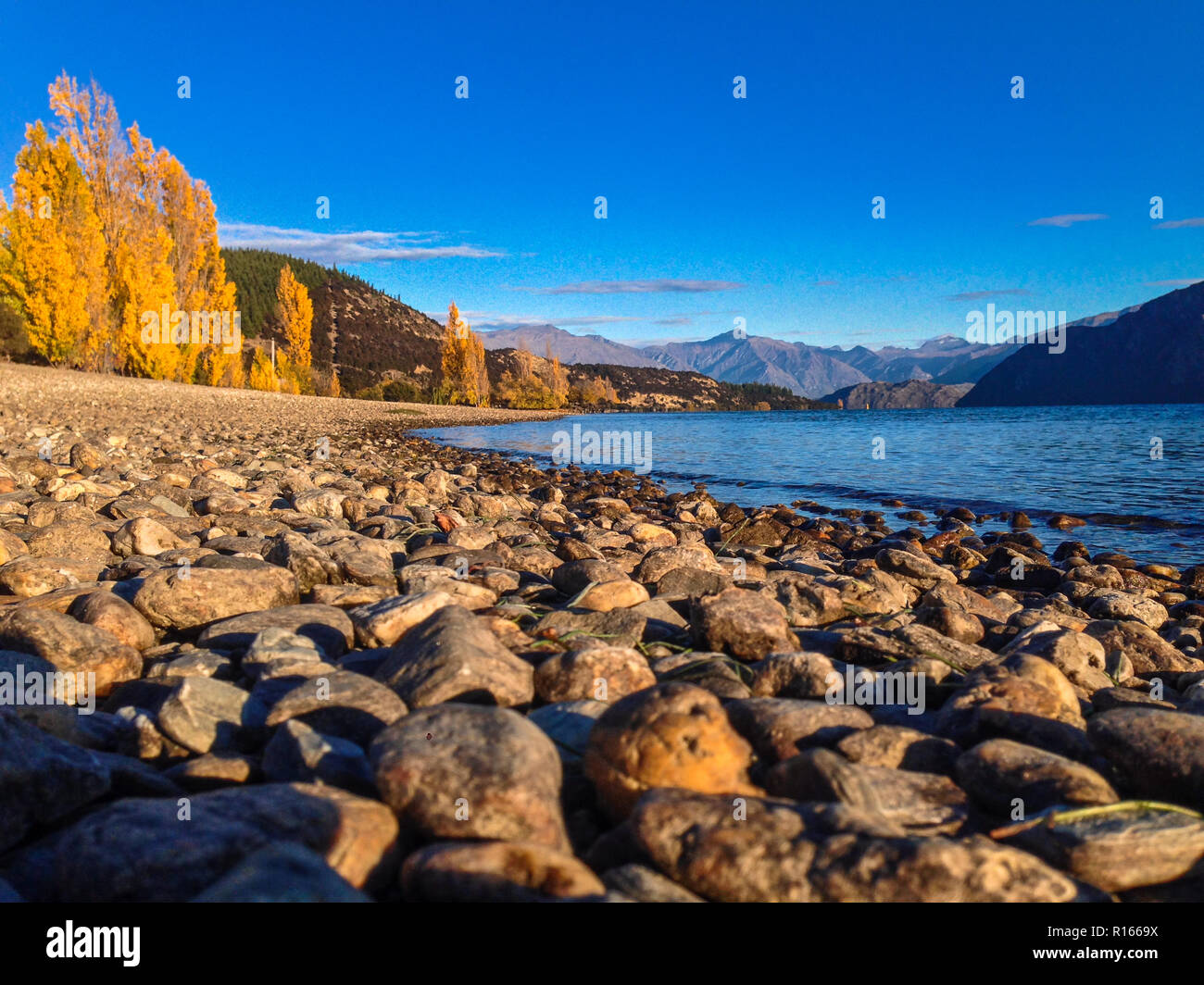 Lake Wakatipu near Queenstown at sunrise, South Island, New Zealand ...