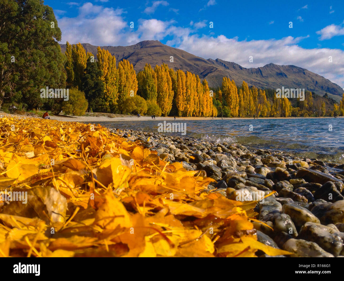 scenic view at Lake Wanaka in Wanaka town, New Zealand Stock Photo Alamy