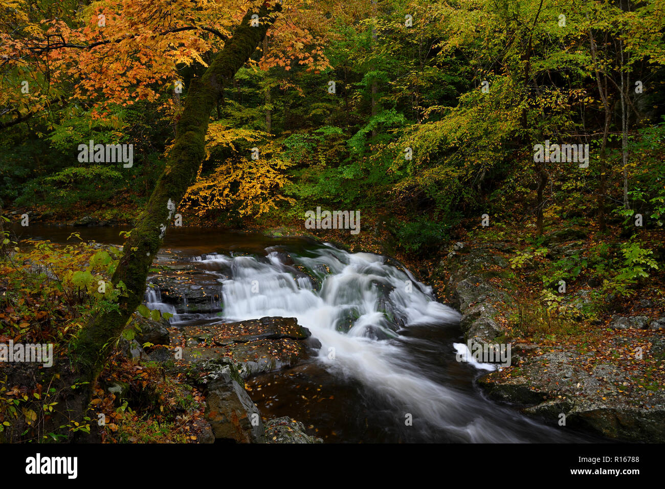 Cascades in Little Pigeon River at Great Smoky Mountains Stock Photo