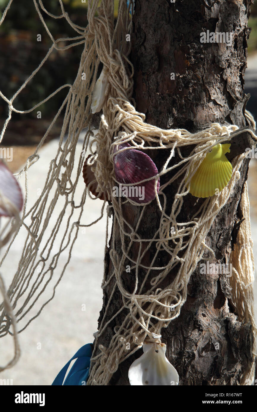 Kea Island Greece Agios Irini Close up of Fishing Net With Scallop Shells on Tree Trunk Stock Photo