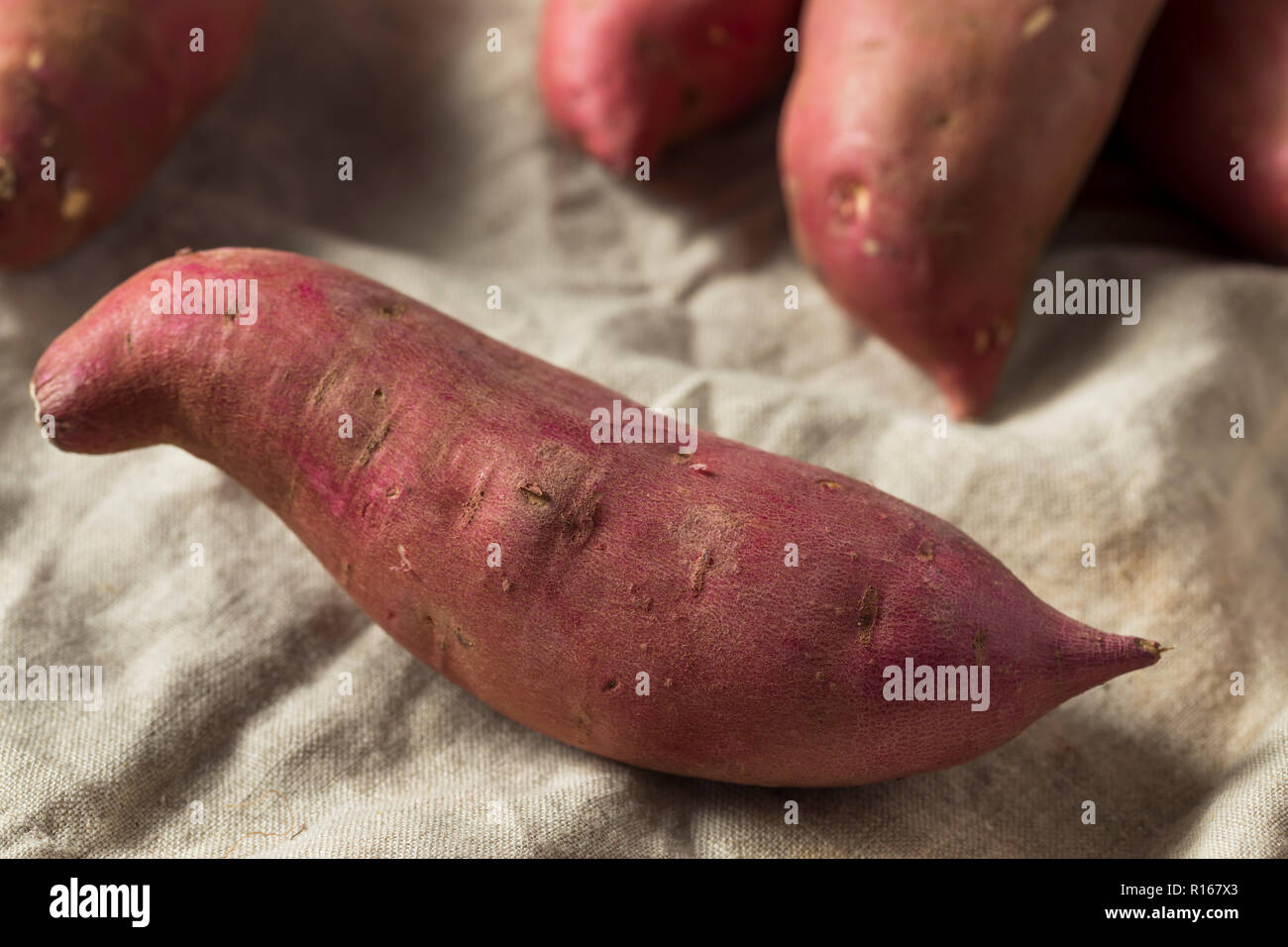 japanese-mountain-yam-moleq-inc-food-information