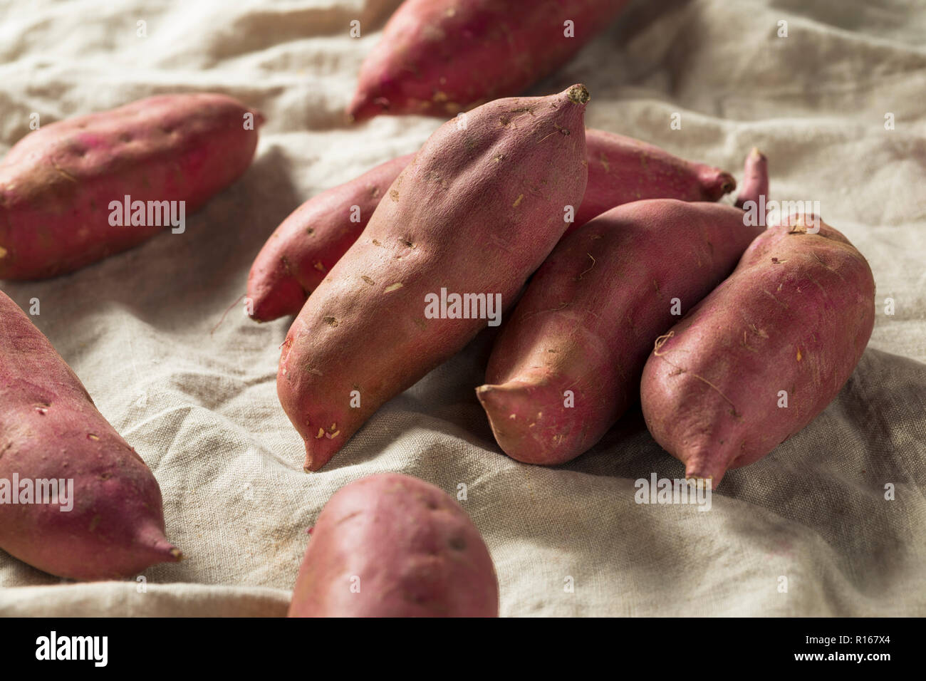 Raw Red Organic Japanese Yams Sweet Potatoes Stock Photo Alamy