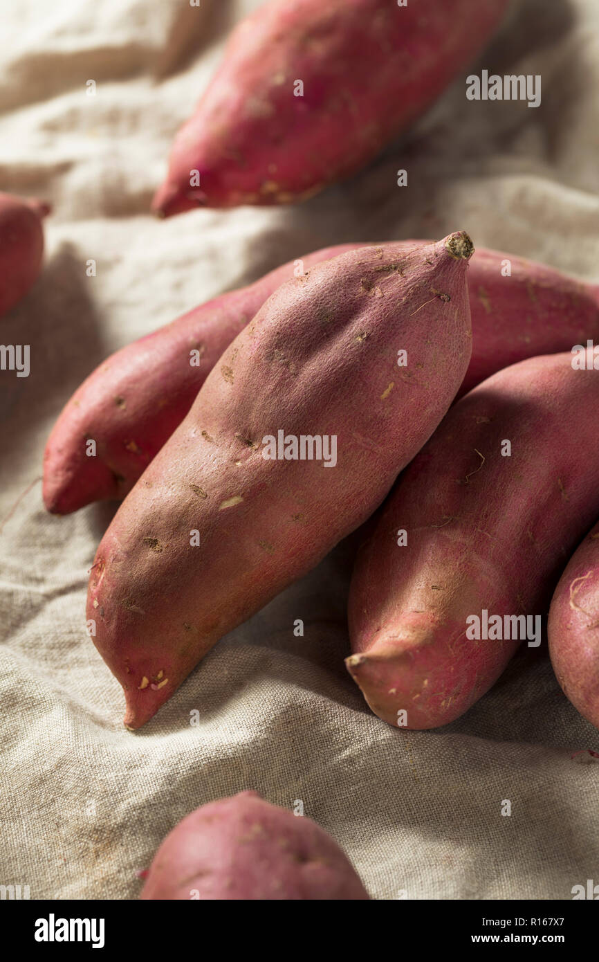 Raw Red Organic Japanese Yams Sweet Potatoes Stock Photo Alamy