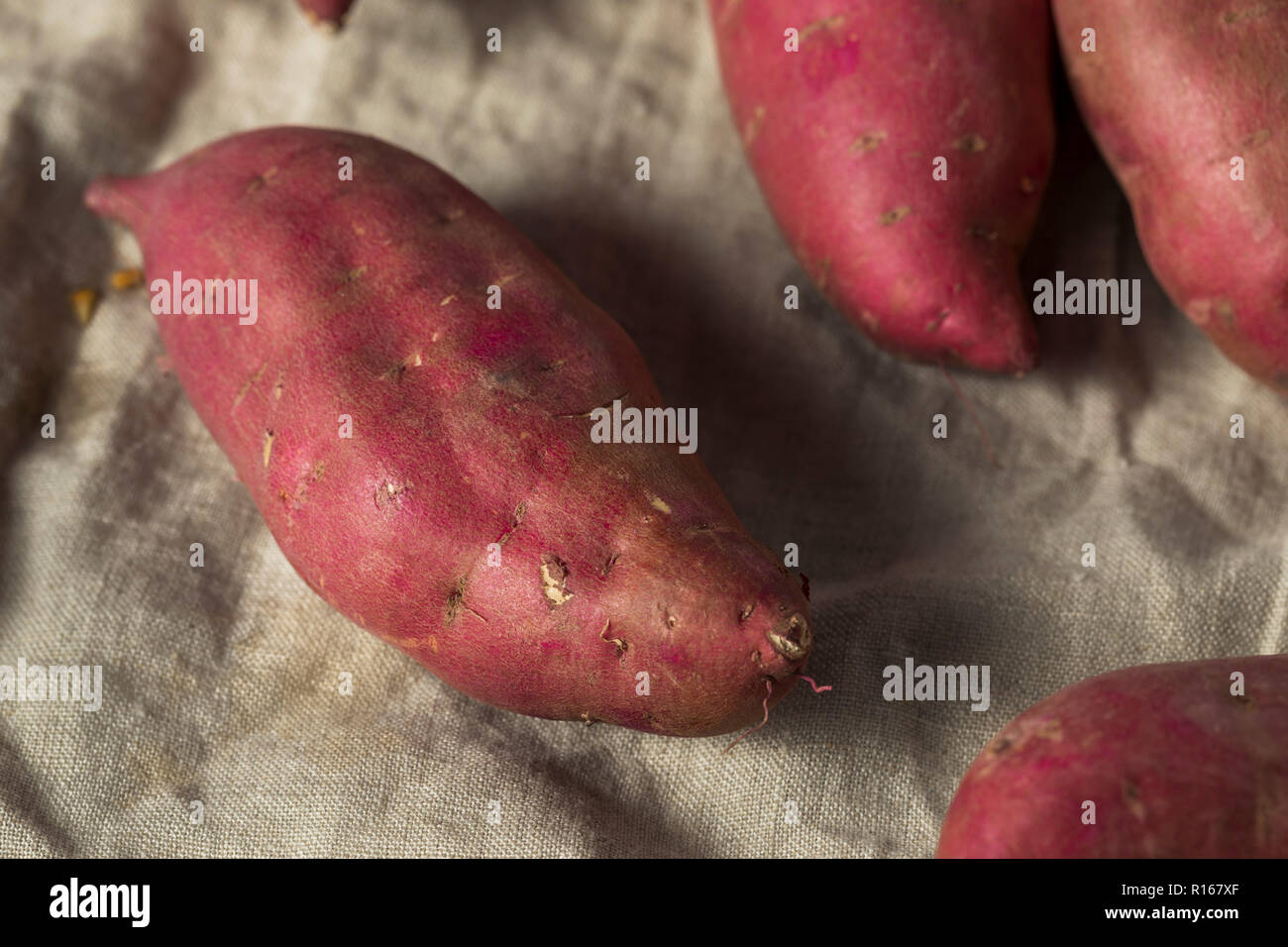 Raw Red Organic Japanese Yams Sweet Potatoes Stock Photo Alamy