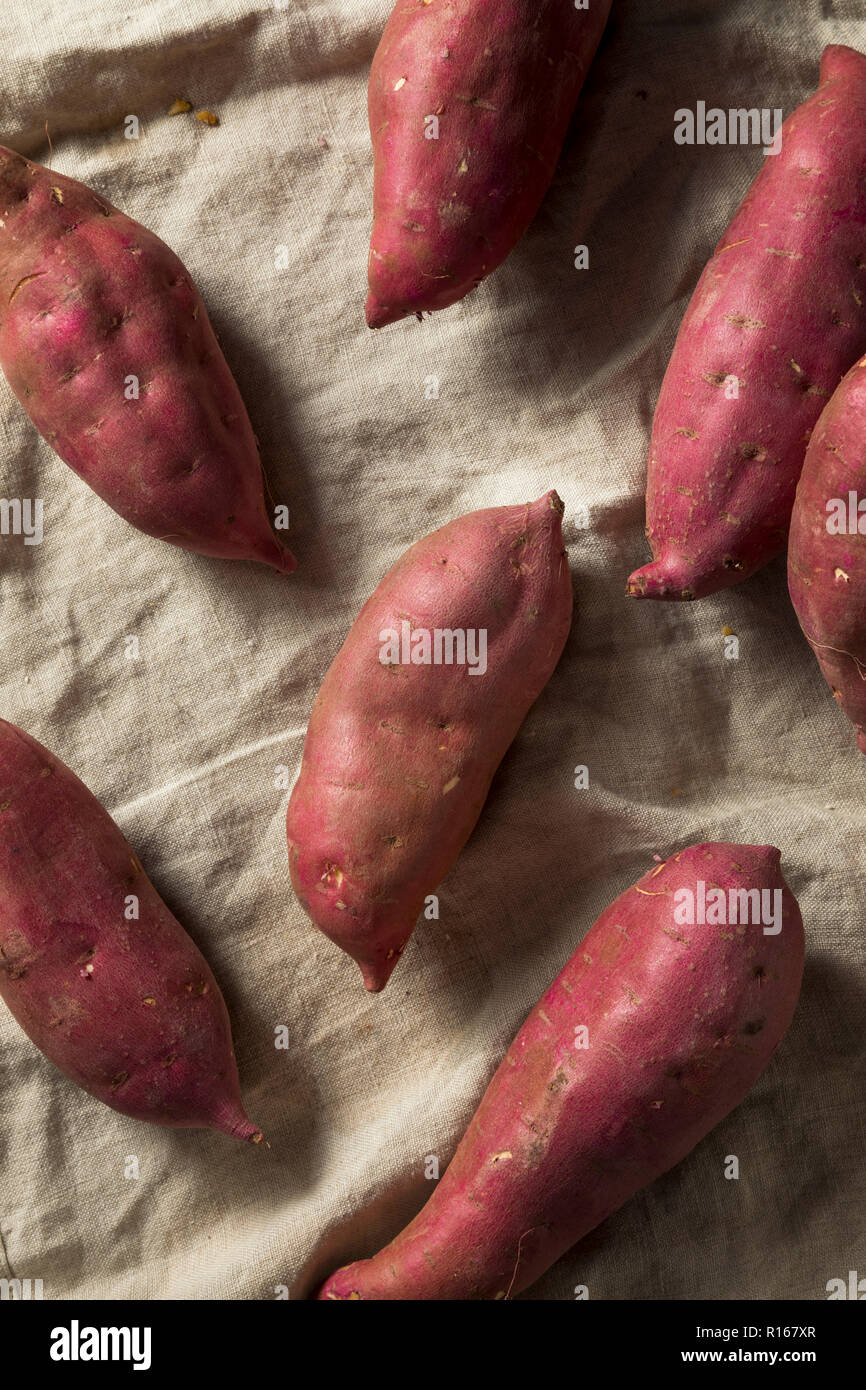 Raw Red Organic Japanese Yams Sweet Potatoes Stock Photo Alamy