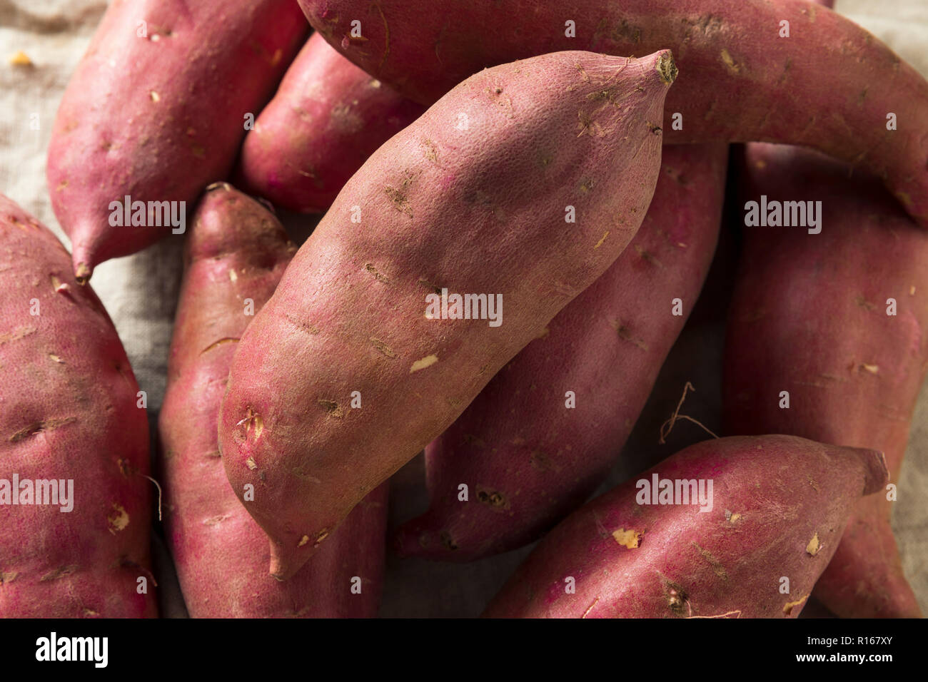 Raw Red Organic Japanese Yams Sweet Potatoes Stock Photo Alamy