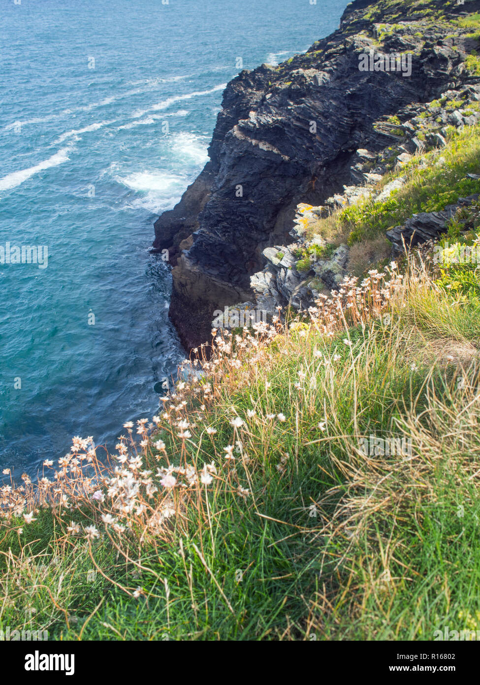 The beautiful and rugged Cornish coast at Boscastle Stock Photo