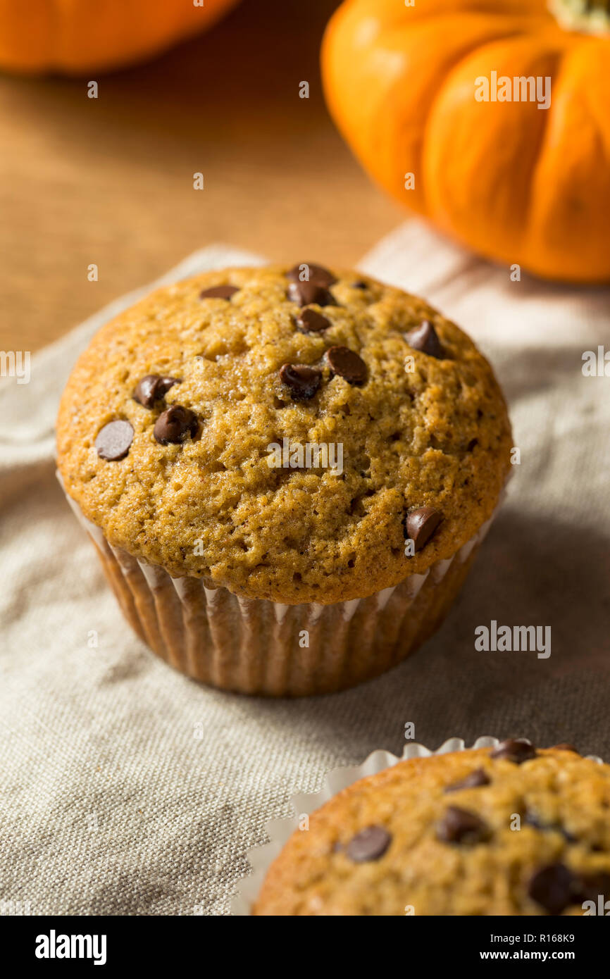 Sweet Homemade Chocolate Pumpkin Muffins Ready to Eat Stock Photo