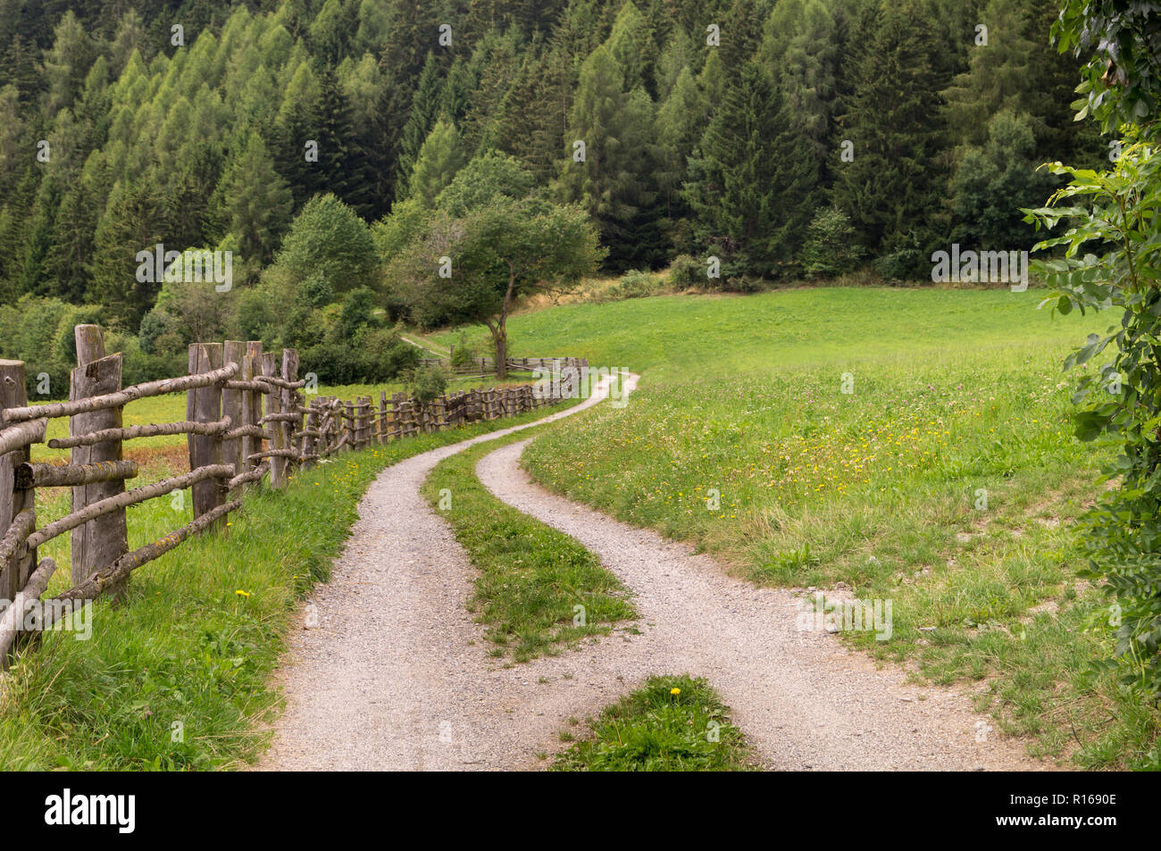 Mountain path, with fence and green lawn Stock Photo