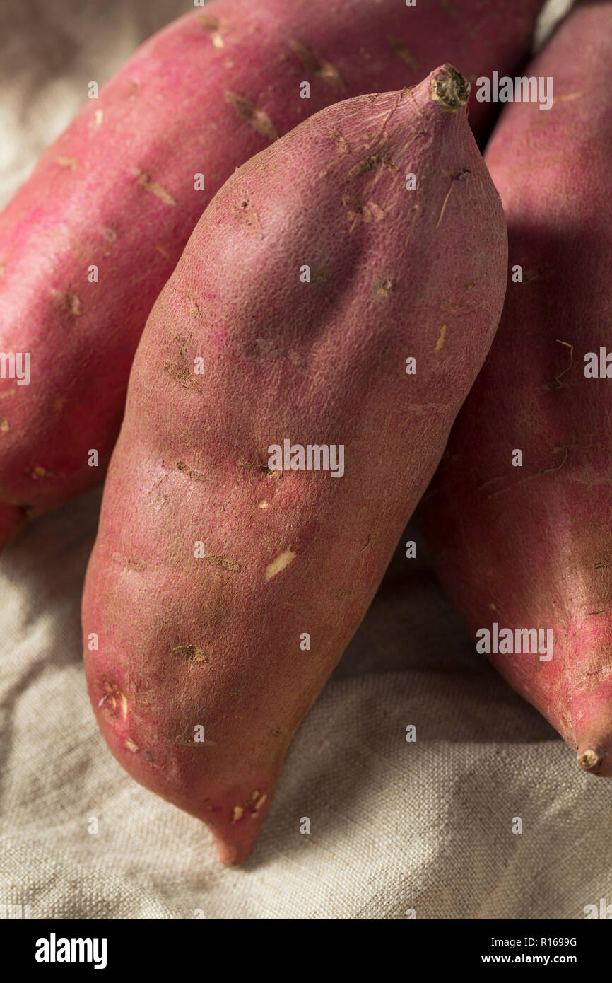 Raw Red Organic Japanese Yams Sweet Potatoes Stock Photo Alamy