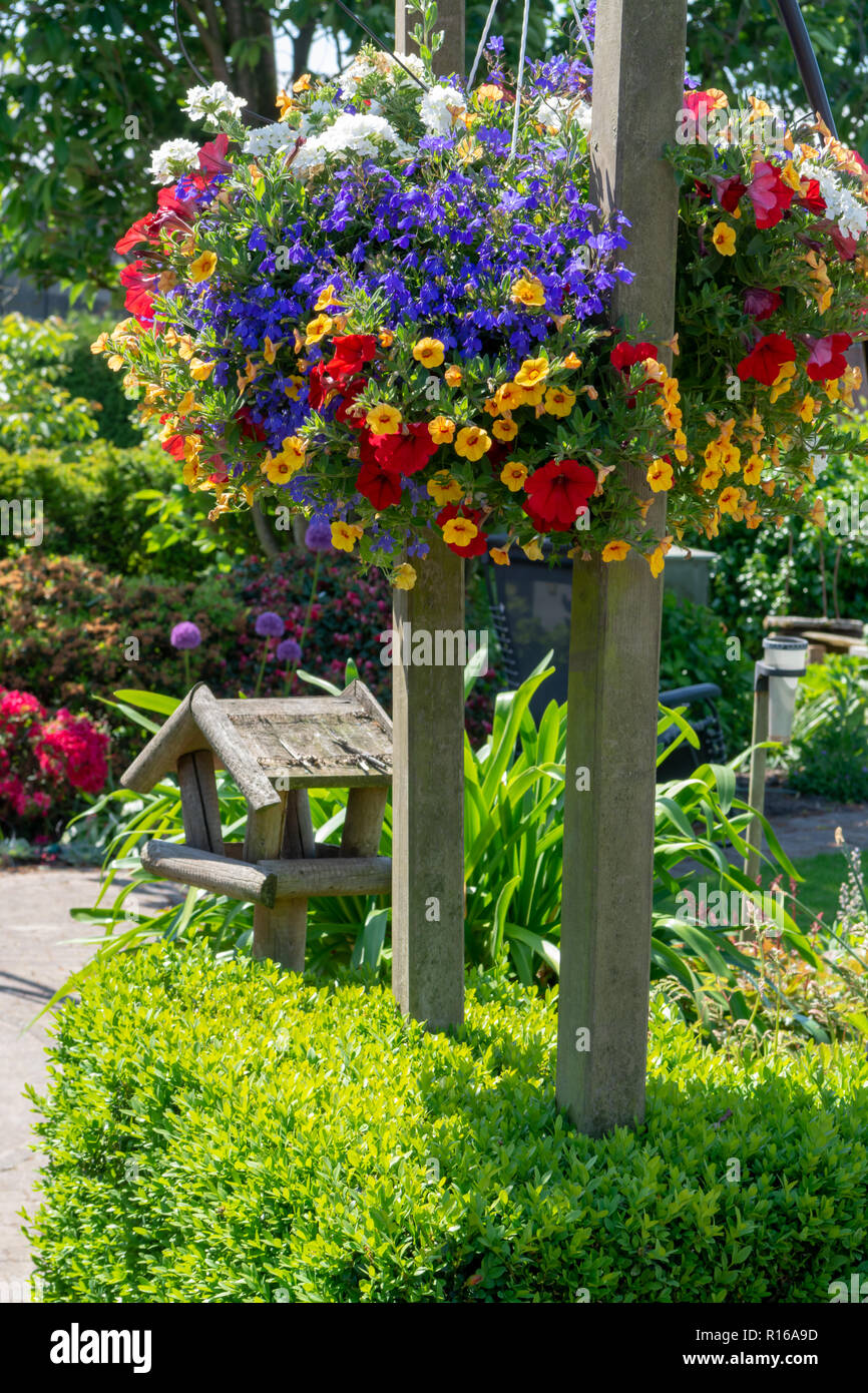 Details of spring or summer garden full with colorful flowers Stock ...