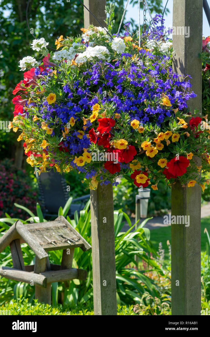 Details of spring or summer garden full with colorful flowers Stock ...