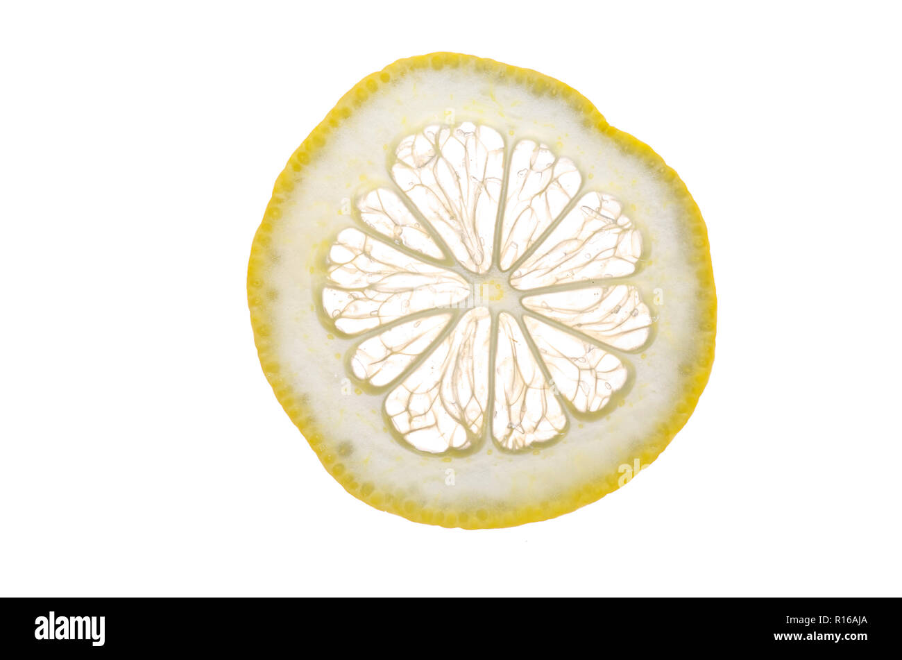 Slice of fresh lemon against white background Stock Photo