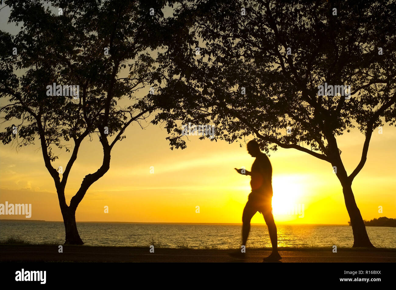 Silhouette of trees and a man walking while looking at his mobile phone, against a beach sunset . Stock Photo