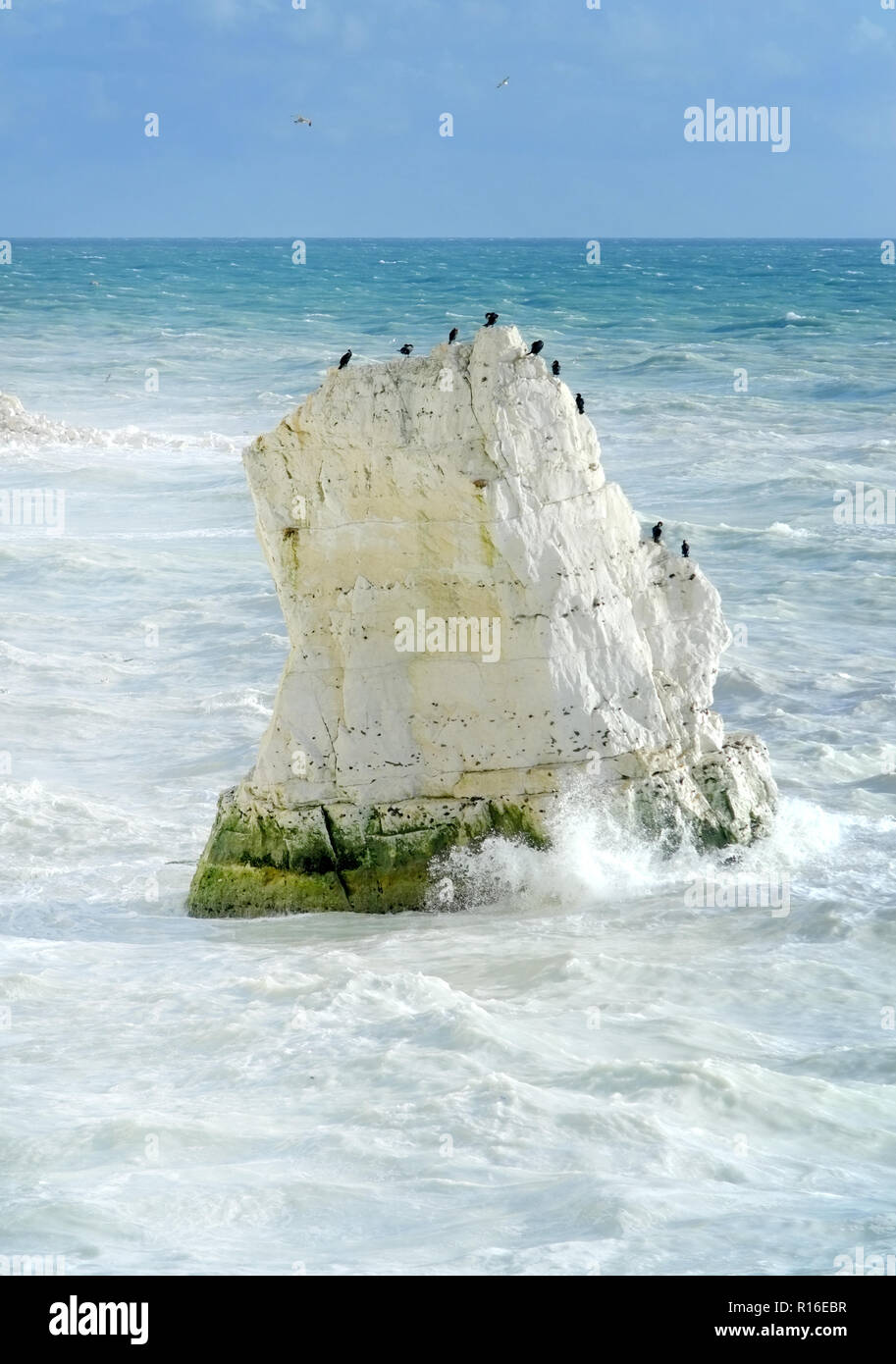 Seaford. East Sussex, UK. 9th November 2018. Chalky white water surrounds the chalk cliffs of Seaford Head, East Sussex. The milky colour is created by rough seas stirring up dissolved chalk from recent cliff falls. Credit: Peter Cripps/Alamy Live News Stock Photo