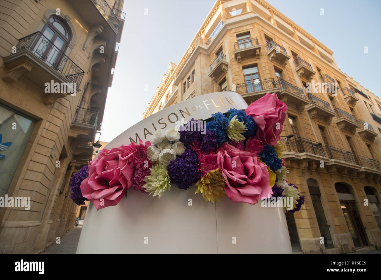 La maison des fleurs